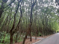 -同里国家湿地公园