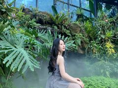 -东莞植物园