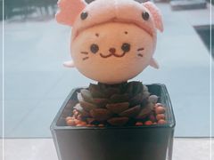 -上海宝华万豪酒店