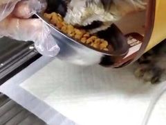 -美联众合动物医院(·中兽医·疑难杂症·严家桥分院)