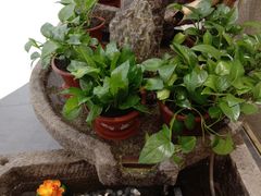 -九转小磨(凯德店)