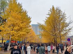 -辽宁大学(崇山校区)