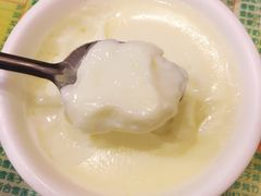 传统双皮奶-顺记冰室(宝华路店)