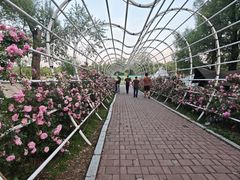 -长春市南湖公园