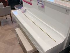 -盛世雅歌琴行·雅马哈钢琴专卖店·电钢琴城·钢琴培训(新辰里学清路店)