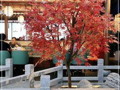 -三凤酒家·百年无锡菜(清扬茂业店)