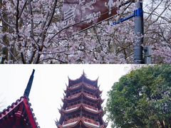 -鸡鸣赐茶(鸡鸣寺路店)