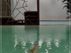 -上海外滩悦榕庄酒店