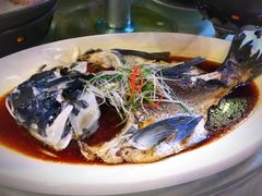 -雅和生态渔庄·宜城锅巴饭(龙灵山公园店)