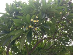 -老宅原住民沙茶面精品小吃(龙头路店)