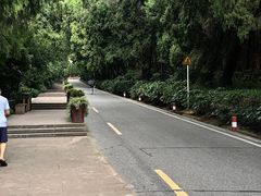 -七曲山风景区