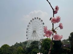 -观澜湖生态运动公社