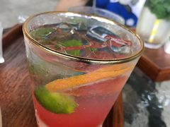 -柴犬高等学院·狗咖·柴犬售卖·宠物训练