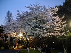 -浙江西子宾馆·牡丹厅