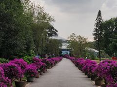 -华南国家植物园-售票处