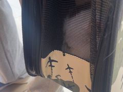 -宠福鑫动物医院(城北分院)