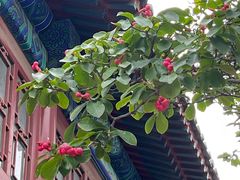 -大钟寺古钟博物馆