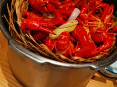 -蚝翅·海鲜粥·烧烤·宁夏滩羊季(玉米楼店)