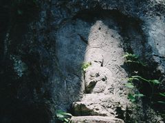-灵隐飞来峰景区