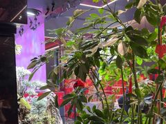 -唐河王记·南阳民间菜(国基路店)