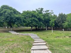 -甘井子公园
