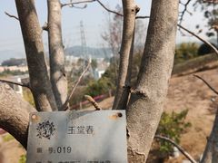 -中国移动南方基地