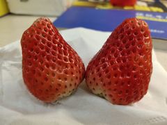 -CoCo都可(盐城宝龙城市广场店)