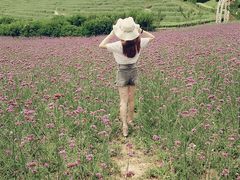 -紫颐香薰山谷景区