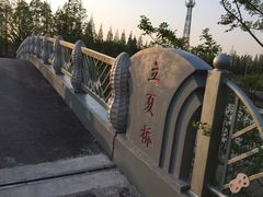 -上海长兴岛郊野公园