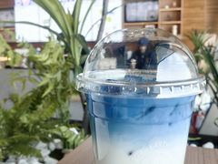 蓝色星球-抱抱地球咖啡馆(国家海洋博物馆店)