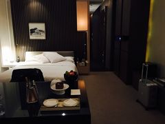 -上海柏悦酒店