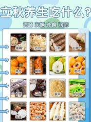 -Fundi张玉珊修身堂·indiba·BTL科技瘦身