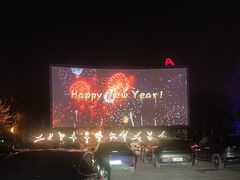 -枫花园汽车电影院(朝阳公园店)