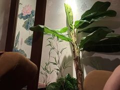 -北丽宫水疗会(宝利来国际大酒店店)