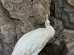 -海合安武汉极地海洋公园