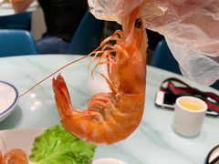 姜汁海捕虾-映像威海·海鲜味道(经区店)