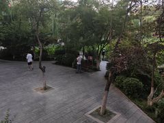 -莲湖公园