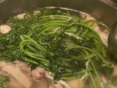 -润园四季椰子鸡火锅(南山海岸城店)