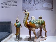 -洛阳博物馆