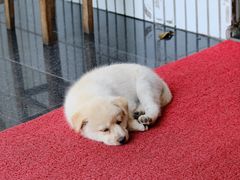 -途中饭店(开化店)