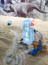 -恐龙探索乐园(磁器口店)