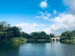 -梁鸿国家湿地公园