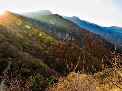 -北京鹫峰国家森林公园