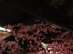 大堂-卢大鲜鱼头捞饭(美利广场店)
