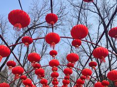 -北京石景山游乐园