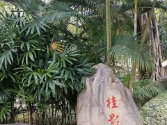 -晓港公园