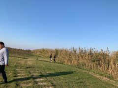 -洪湖湿地生态园