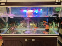 -花鸟鱼虫鲜花绿植市场(玉泉路店)