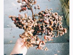 -兴福老面馆(寺路街店)