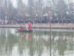 -微山湖红荷湿地景区